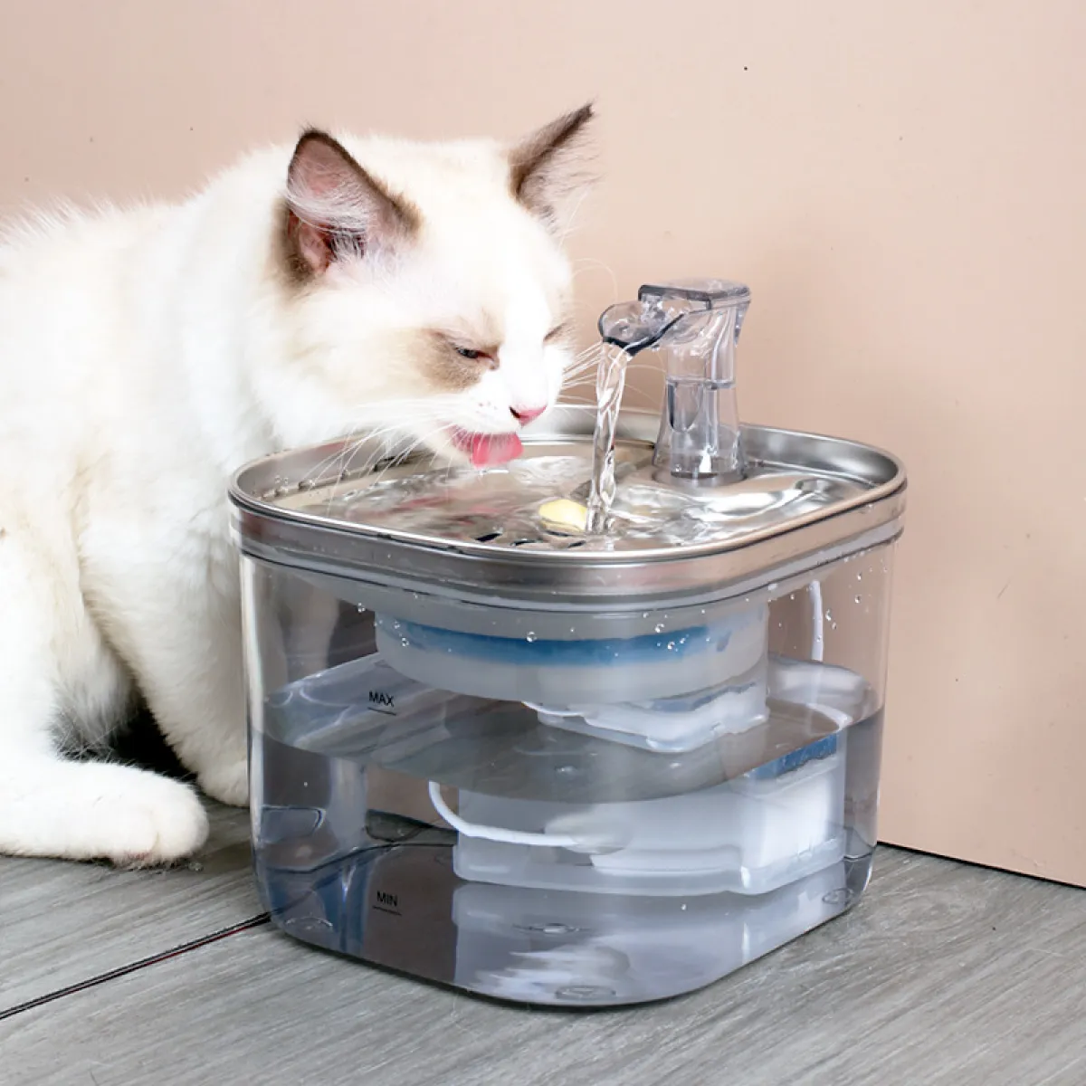 Gato bebiendo de la fuente de agua FriendlyPet